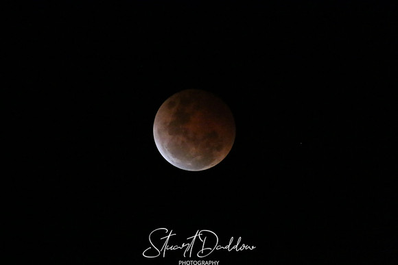 Blood Moon 1 (8.10.14)