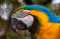 Zoo Doo Wildlife Park