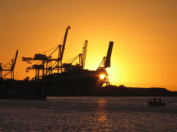 Cranes at Sunset