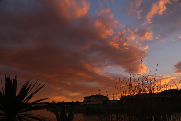 Island Sunset 9