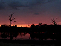 Currency Creek Overflow at Sunset