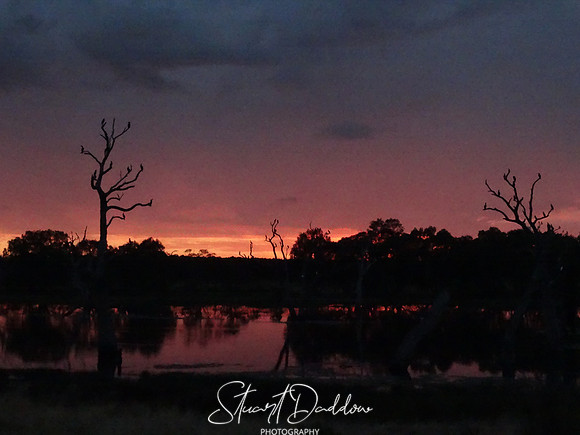 Currency Creek Overflow at Sunset