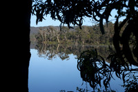 Morning Reflections 3