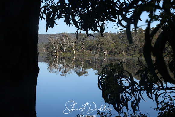 Morning Reflections 3