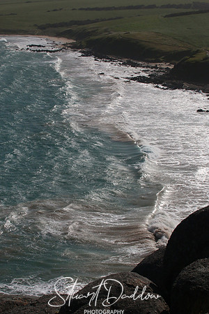 Petrel Cove Swell