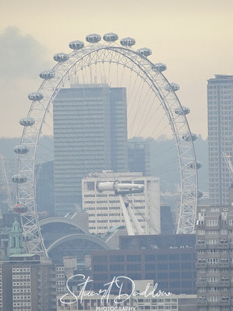 London Eye from the Tower